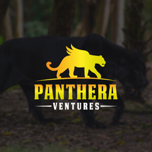 1495074981-Panthera-Ventures