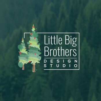 1496725275-Little_Big_brother