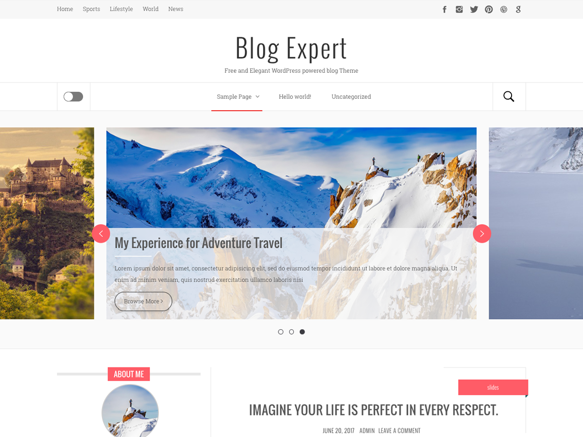 blog-expert